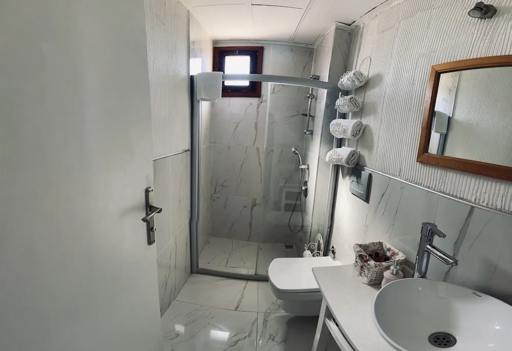 Standard Tek Büyük Yataklı Oda, 1 Çift Kişilik Yatak (Without Balcony)