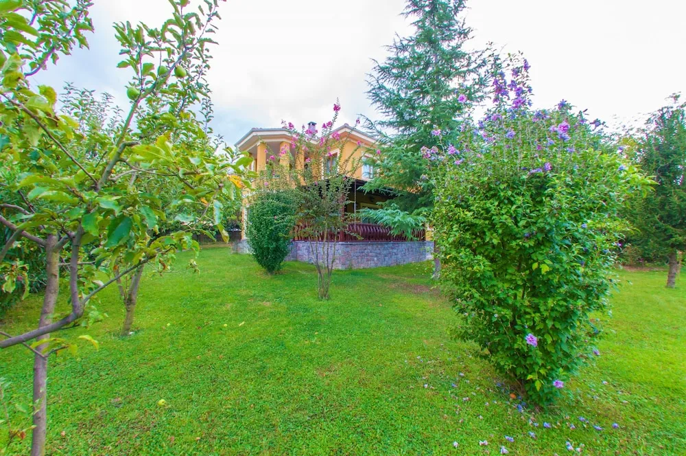 Deluxe Villa