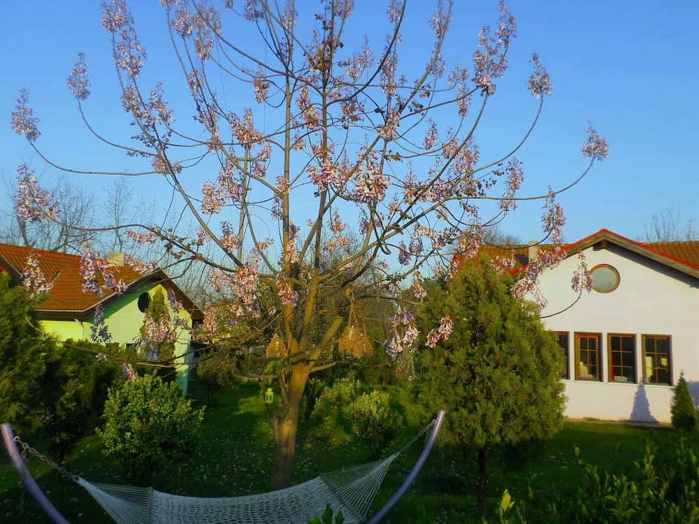Four Bedroom Country Villa