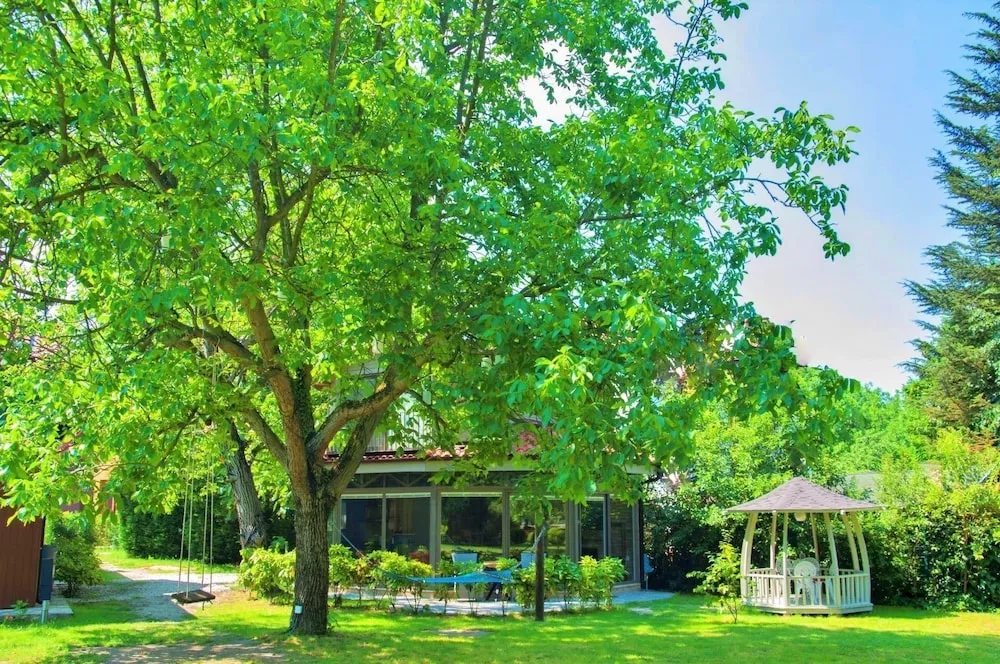 Junior Garden  Villa
