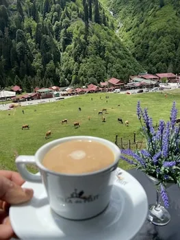 Ayder Villa de Pelit Hotel