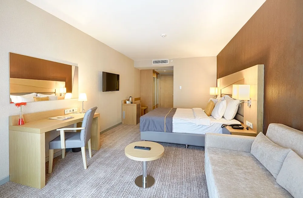 Deluxe Tek Büyük Yataklı Oda, 1 En Büyük (King) Boy Yatak ve Çekyat, Balkon, Şehir Manzaralı