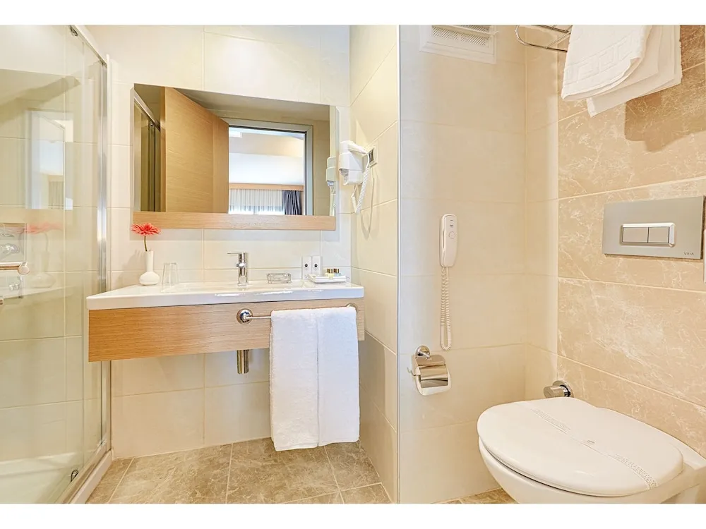 Deluxe Tek Büyük Yataklı Oda, 1 En Büyük (King) Boy Yatak ve Çekyat, Balkon, Şehir Manzaralı