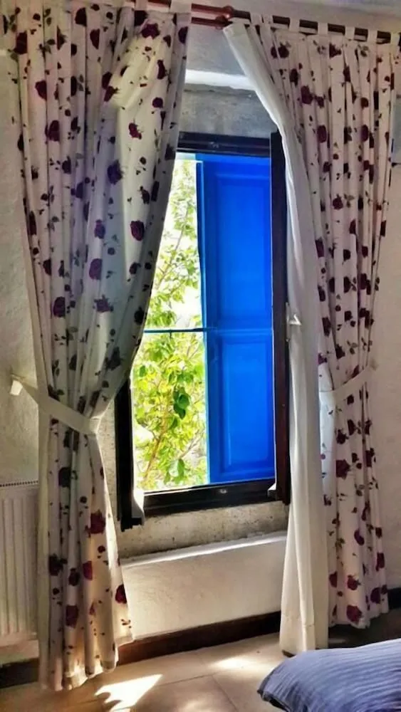 Standard Oda (Bay Window)