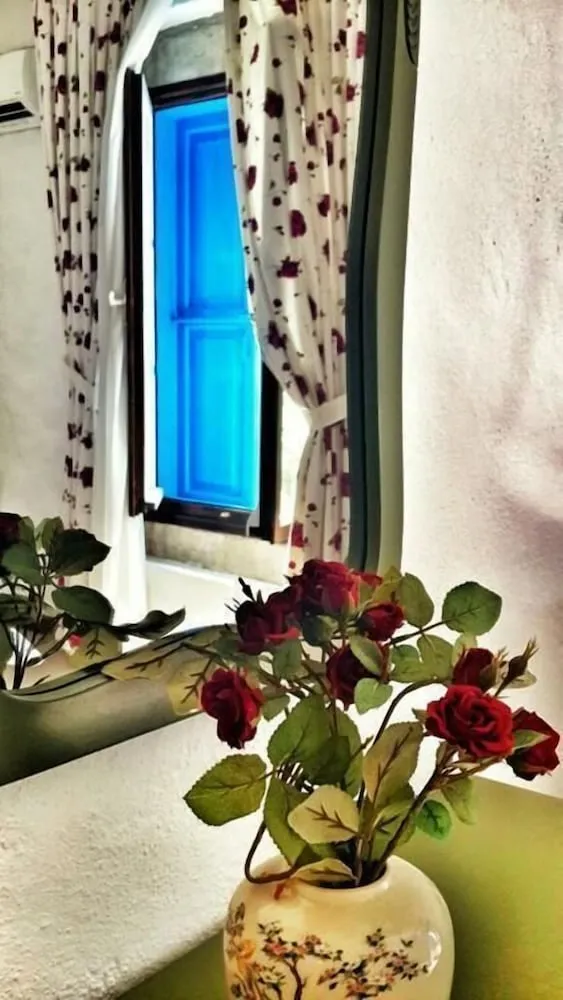 Standard Oda (Bay Window)