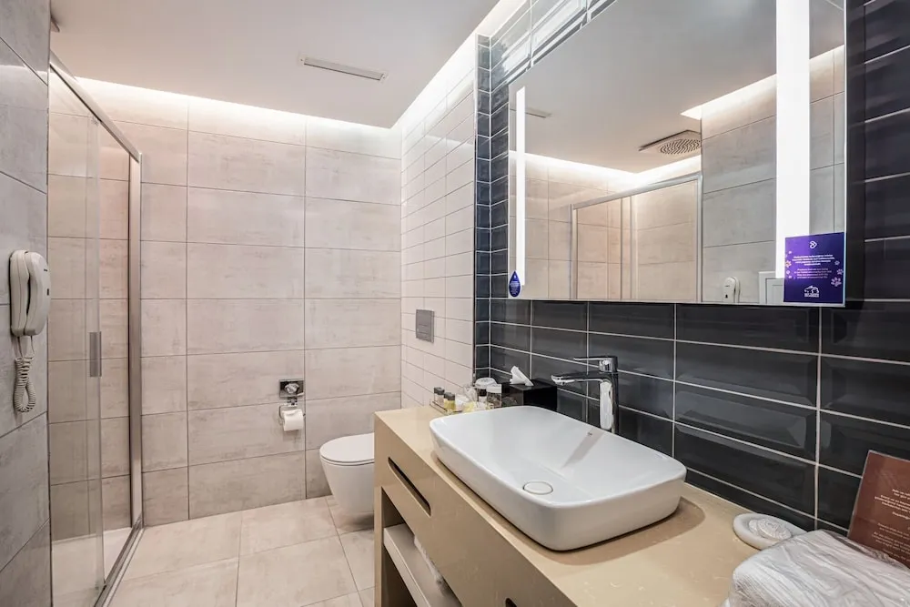 Deluxe Suite Room