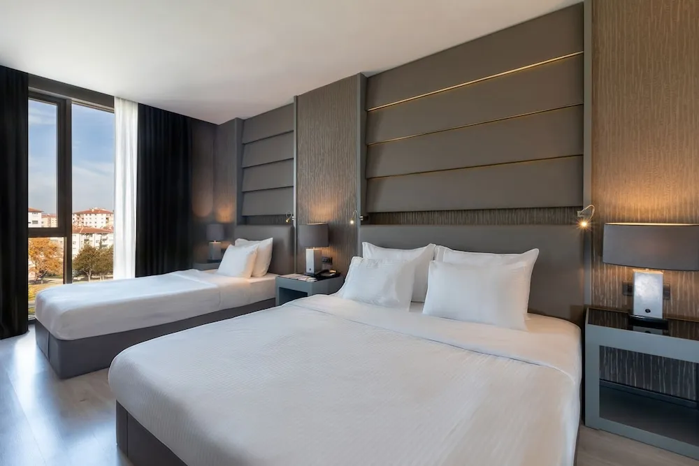 Deluxe French Room
