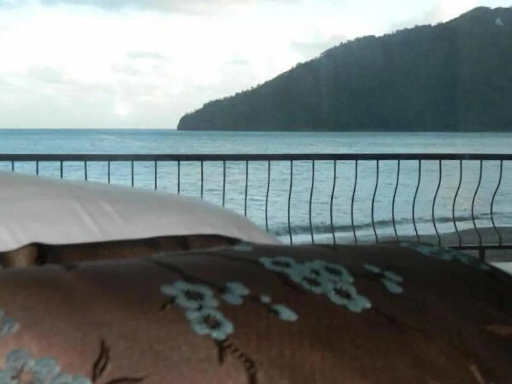 Deluxe Tek Büyük veya İki Ayrı Yataklı Oda, Deniz Manzaralı