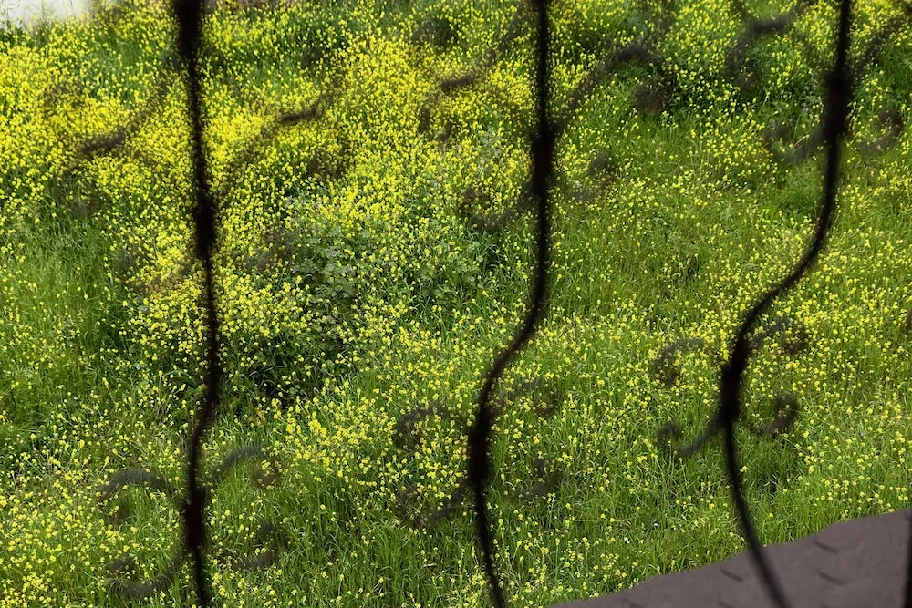 Deluxe Tek Büyük Yataklı Oda, 1 Yatak Odası, Balkon, Şehir Manzaralı