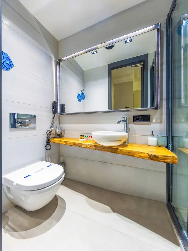 Tek Büyük Yataklı Oda, 1 Büyük (Queen) Boy Yatak