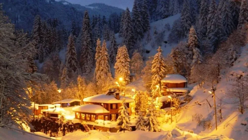 Ayder Avusor Butik Otel