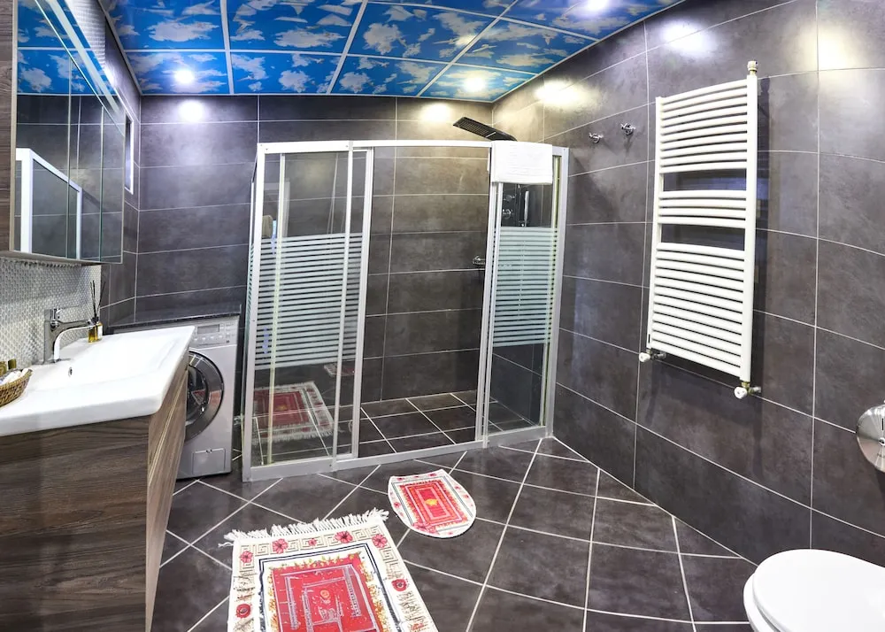 Çatı Katı Süiti (Penthouse)