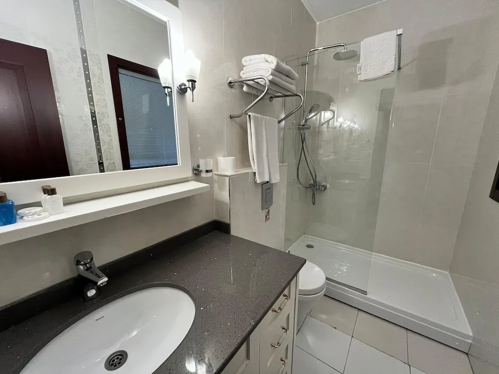 Junior Süit, 1 Yatak Odası, Şehir Manzaralı