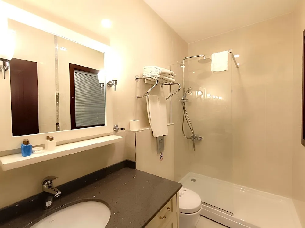 Junior Süit, 1 Yatak Odası, Şehir Manzaralı