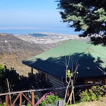 Nefes House