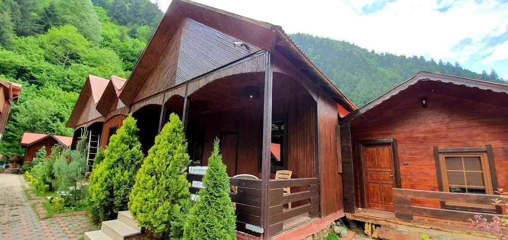 Deluxe Dağ Evi, 3 Yatak Odası, Mutfak, Bahçe Manzaralı