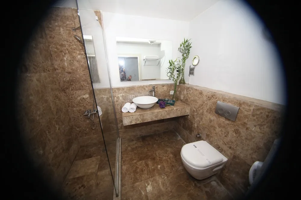 Standard Tek Büyük Yataklı Oda, 1 Çift Kişilik Yatak