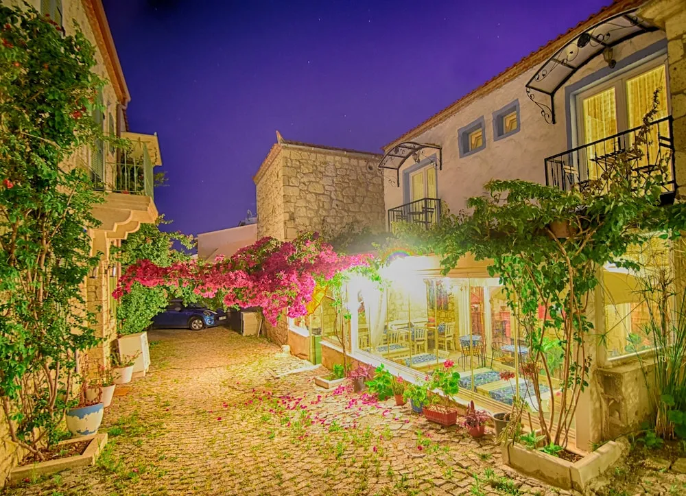 Deluxe Tek Büyük Yataklı Oda, Balkon