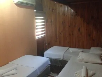 Captain Eudemos House Olympos