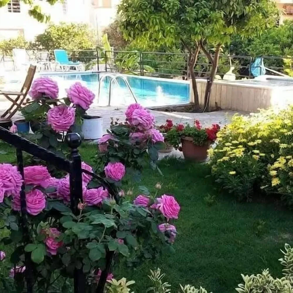 Comfort Apart Daire, 2 Yatak Odası, Küçük Mutfak