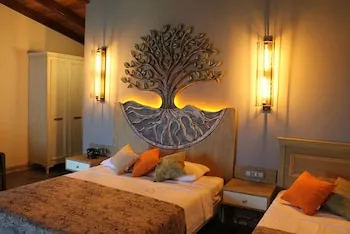 Assos Zeytin Han Hotel Special Class