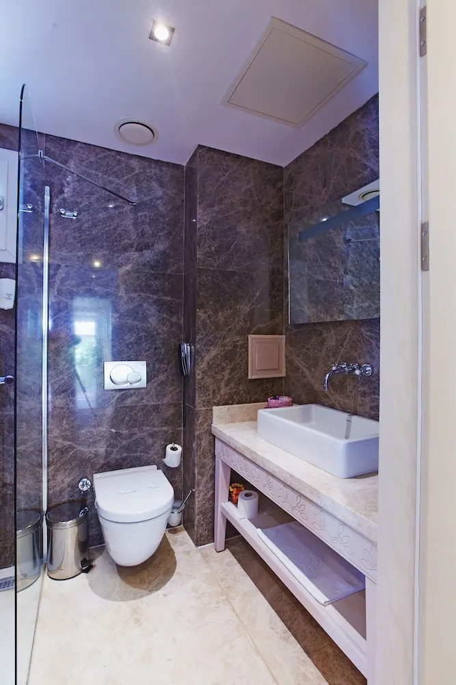 Executive Tek Büyük Yataklı Oda