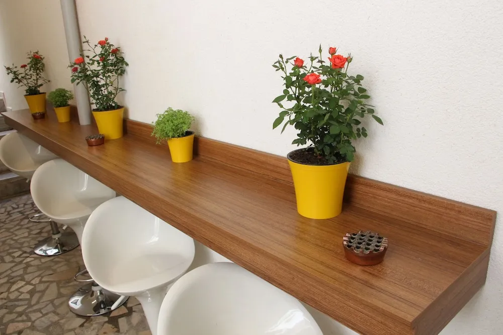 Single Bed In 6 Bed Shared Dormitory