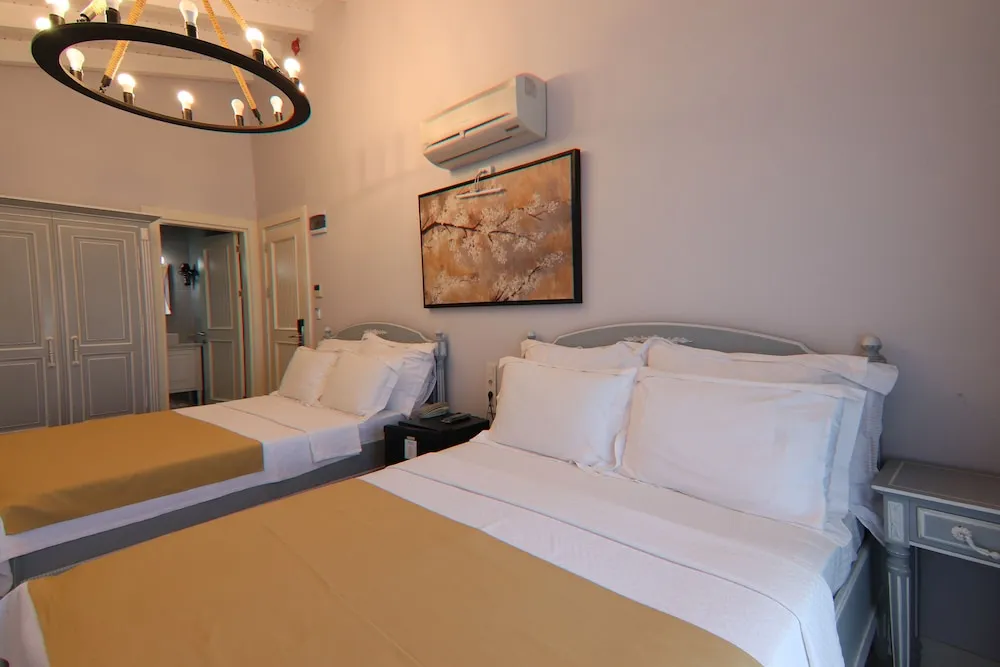 Deluxe Room (Ametis)