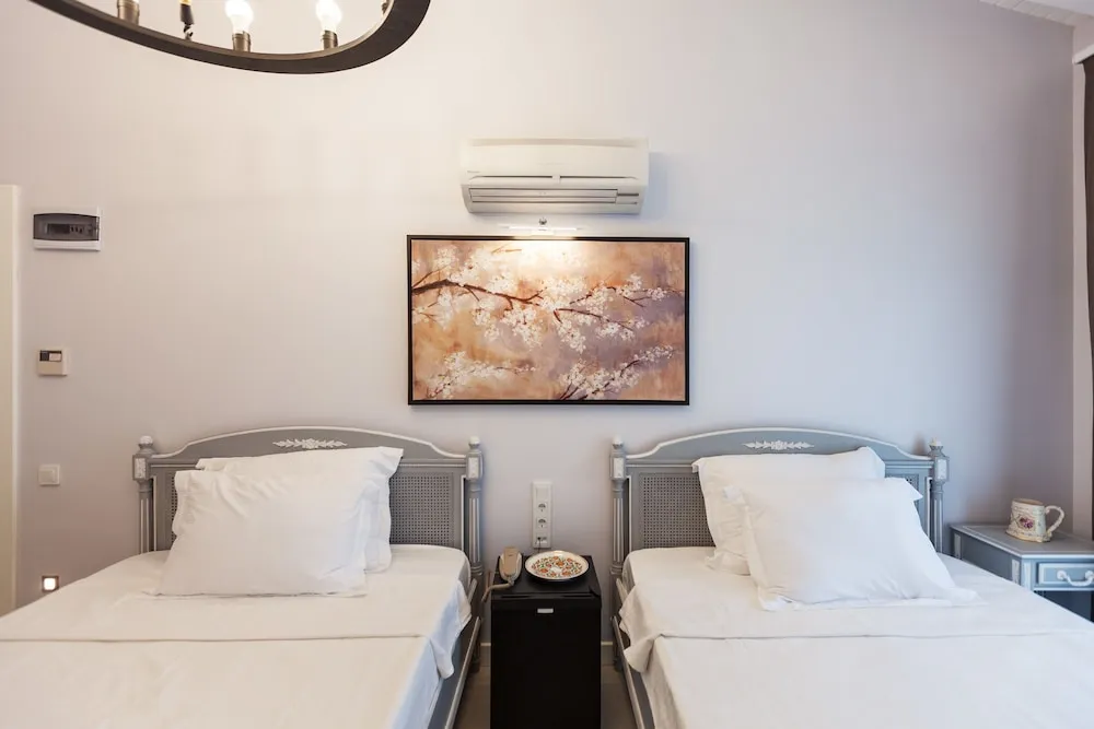 Deluxe Room (Ametis)