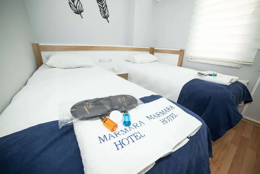 Standard İki Ayrı Yataklı Oda, Şehir Manzaralı