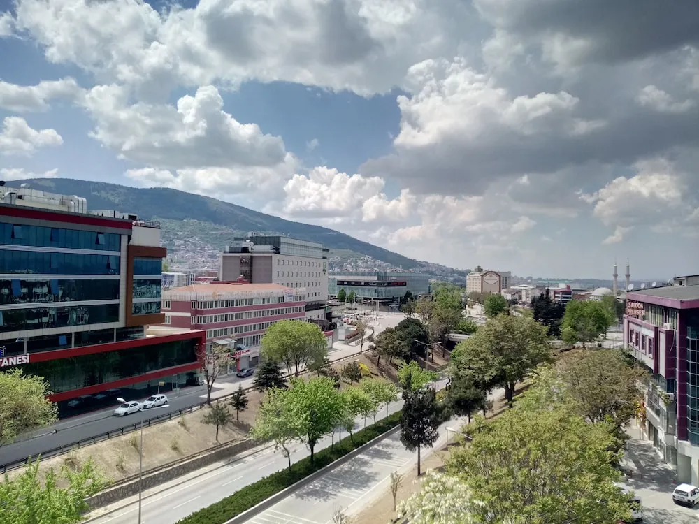 Deluxe Tek Büyük Yataklı Oda, Şehir Manzaralı
