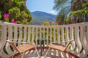 Flamingo Hotel & Spa - Pet Friendly