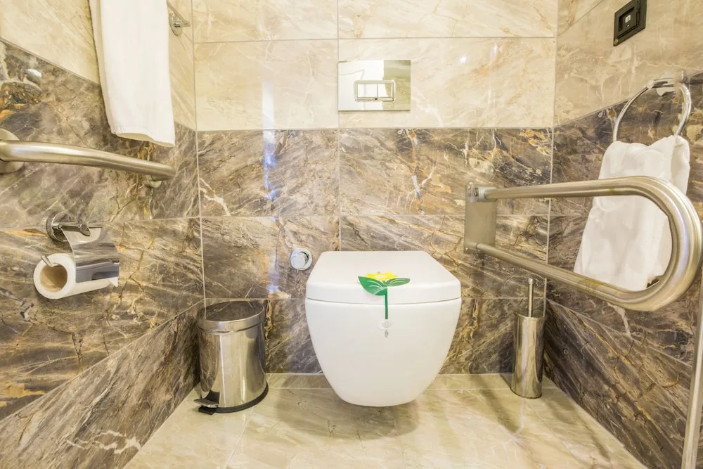 Superior Tek Büyük Yataklı Oda, Özel Banyo (Sadece Engelliler İçindir)
