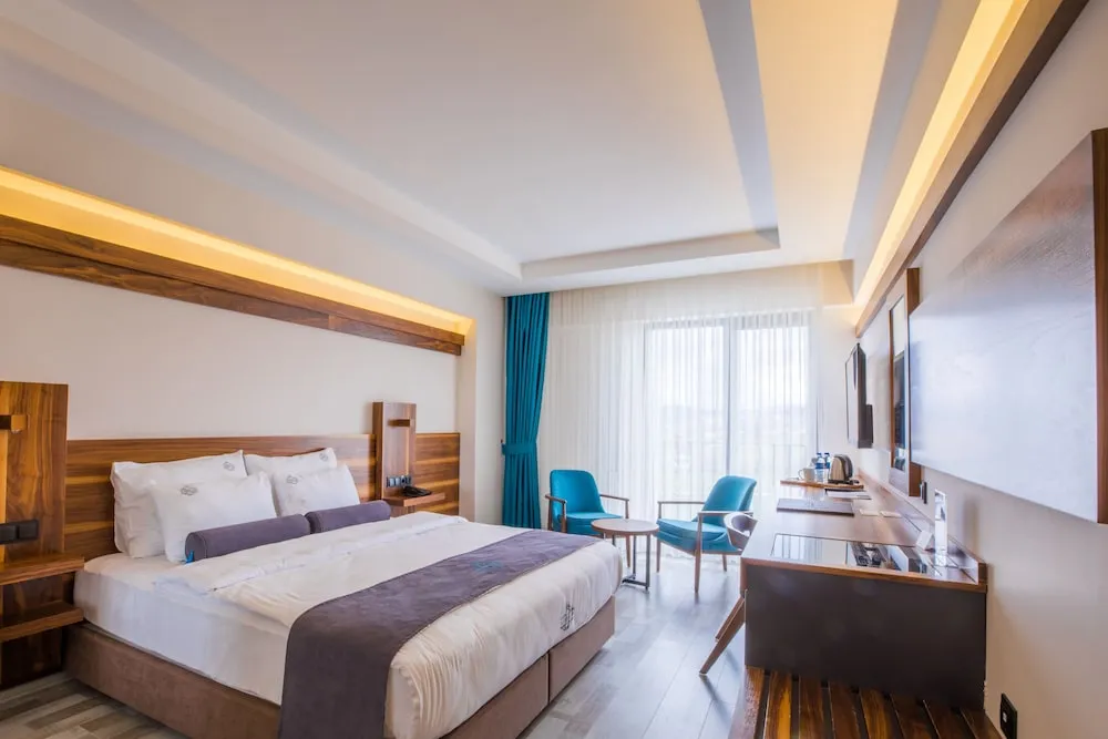 Superior Tek Büyük Yataklı Oda, Özel Banyo (Sadece Engelliler İçindir)
