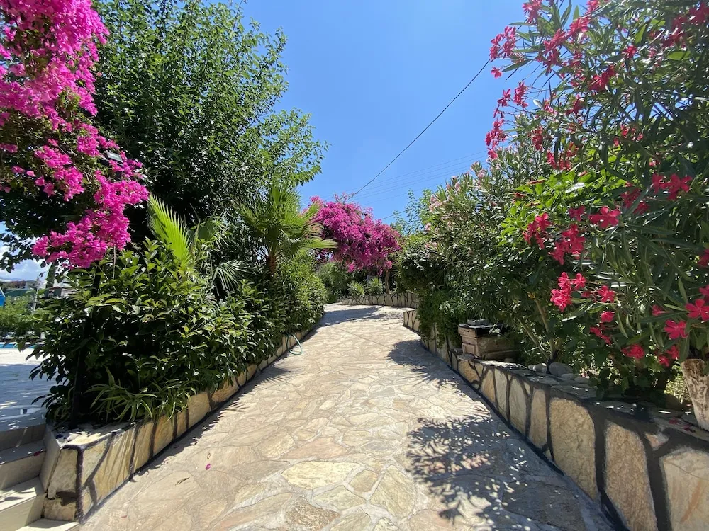 Panoramic Üç Kişilik Oda