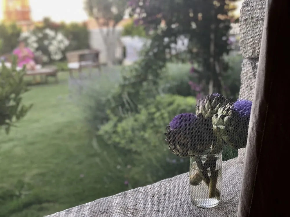 Standard Tek Büyük Yataklı Oda, Bahçe Manzaralı, Zemin Kat