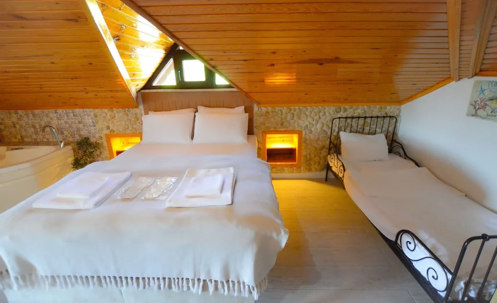 Çatı Katı Süiti (Penthouse)