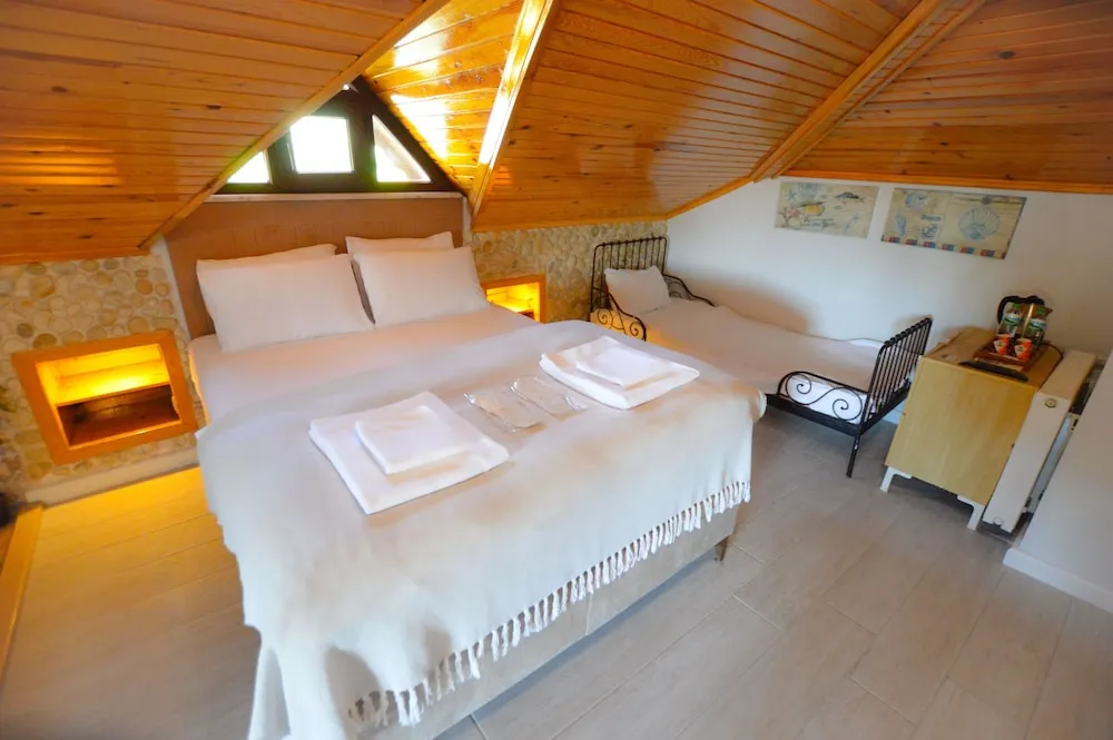 Çatı Katı Süiti (Penthouse)