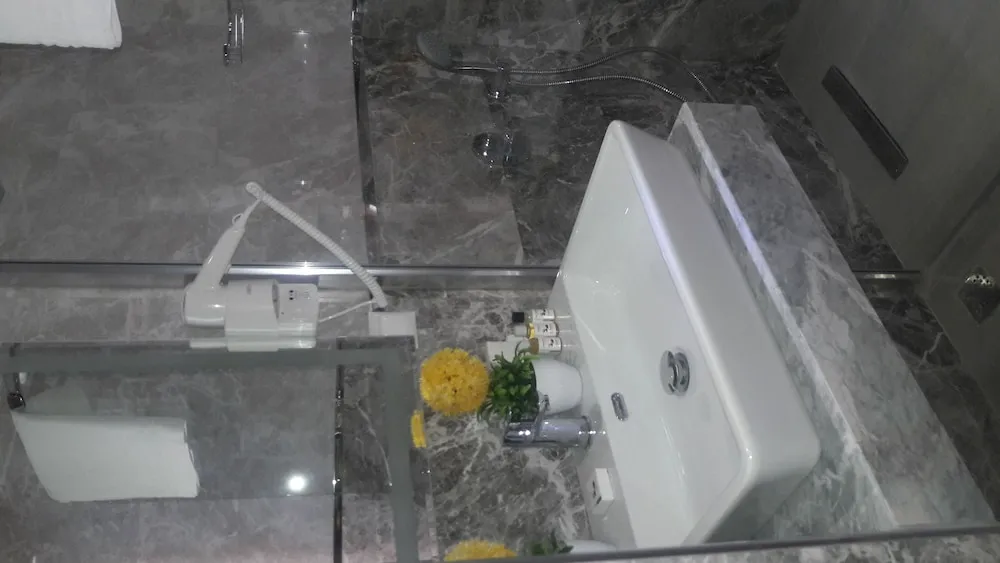 Standard Tek Büyük veya İki Ayrı Yataklı Oda, Şehir Manzaralı