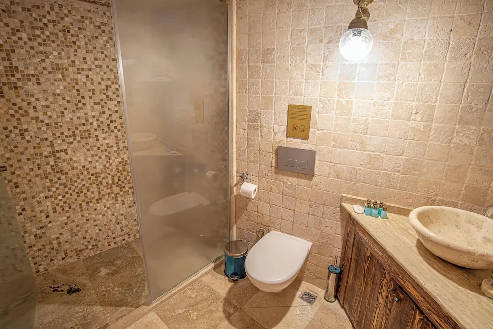 Standard Tek Büyük Yataklı Oda, 1 Çift Kişilik Yatak