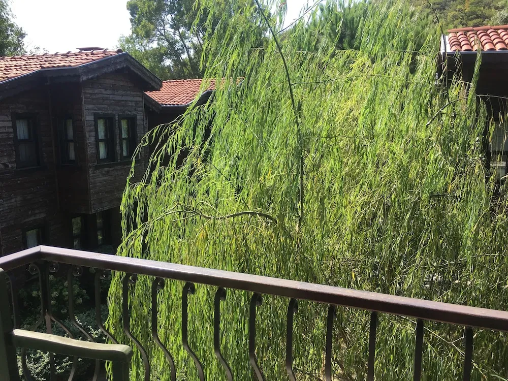 Oda, Balkon, Dağ Manzaralı