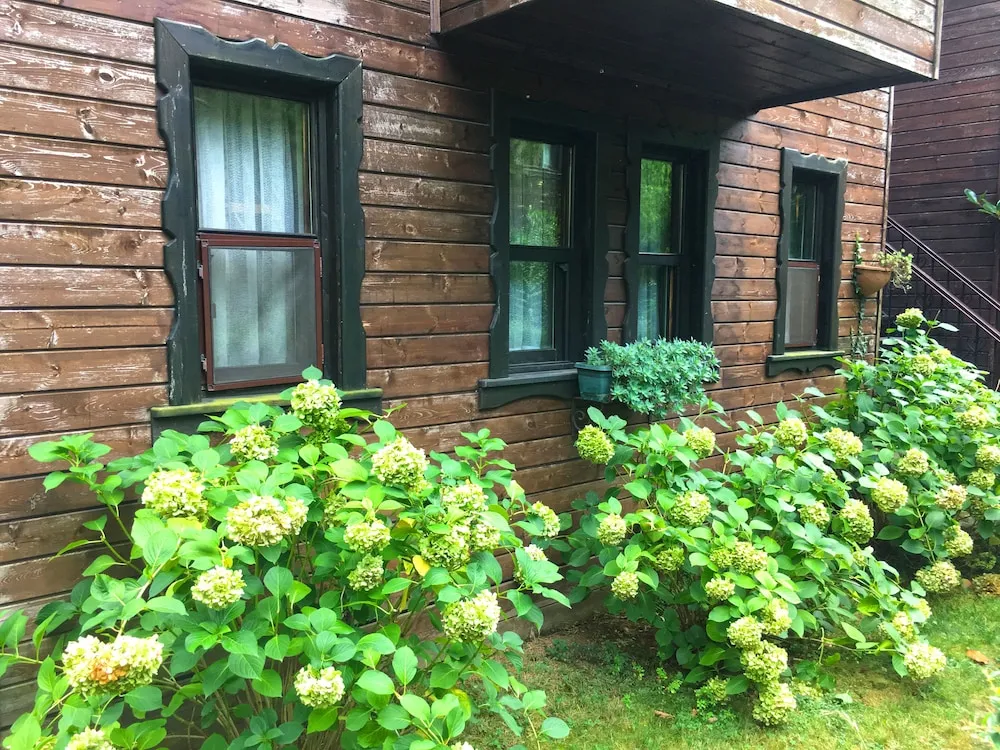 Standard Bungalov, Bahçe Manzaralı