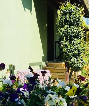 Ağva Piccolo Mondo Hotel - Yetişkin Oteli