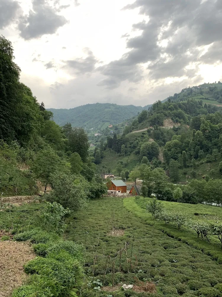 Family Dağ Evi, 2 Yatak Odası