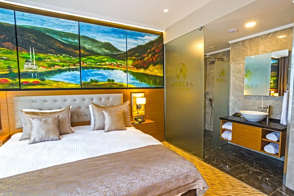 Deluxe Oda, Şehir Manzaralı