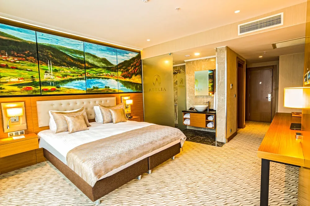 Deluxe Oda, Şehir Manzaralı