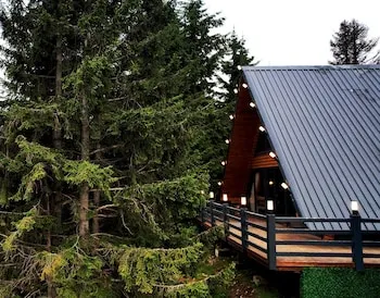Çambaşı Kayak ve Doğa Tesisi
