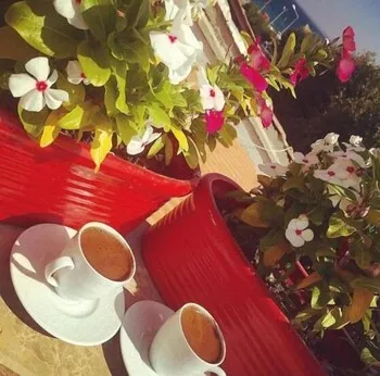 Alicante Hotel - Adults Only