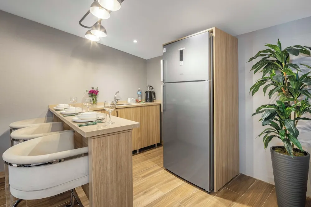 Çatı Katı Süiti (Penthouse)