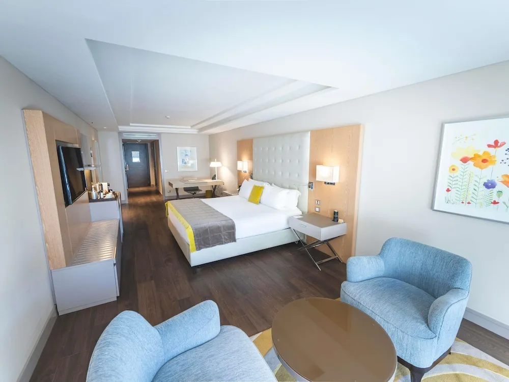 Deluxe Süit, 1 Çift Kişilik Yatak, Engellilere Uygun, Park Manzaralı